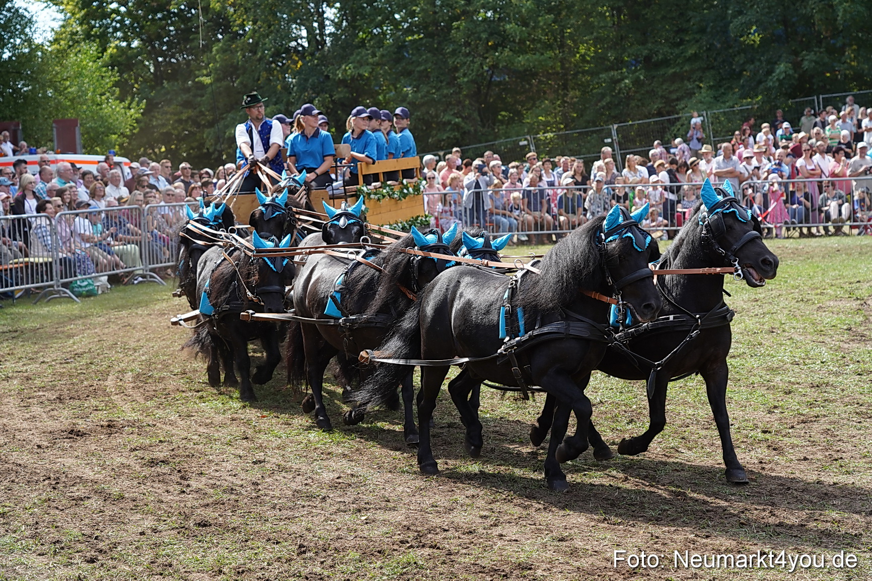 Pferde und Fohlenschau 2022 0302 